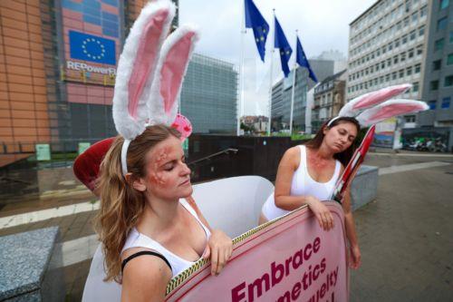 epa11599818 Animal activists from PETA (People of the Ethical Treatment of Animals) take part in a campaign protest to denounce that EU institutions allow animals to be tortured and killed in tests for cosmetics ingredients, in front of the European Commission headquarters in Brussels, Belgium, 12 September 2024. According to PETA, the European Chemicals...