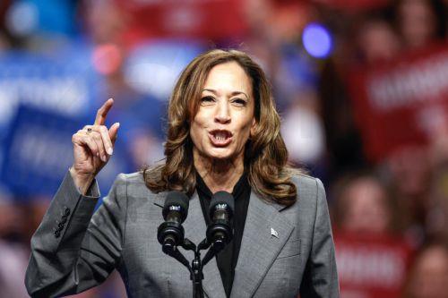 epa11616722 Democratic presidential candidate US Vice President Kamala Harris speaks during a campaign event at Veterans Memorial Coliseum at Alliant Energy Center in Madison, Wisconsin, USA, 20 September 2024 (issued 21 September 2024).  EPA/KAMIL KRZACZYNSKI
