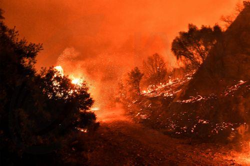 Φωτογραφία που δόθηκε στη δημοσιότητα την Δευτέρα 30 Σεπτεμβρίου 2024 από την φωτιά που ξέσπασε σε δασική έκταση στην περιοχή Άνω Λουτρό Κορινθίας, Κυριακή 29 Σεπτεμβρίου 2024. Σύμφωνα με την Πυροσβεστική, η φωτιά εκδηλώθηκε γύρω στις 10.51 σε δύσβατο σημείο, γεγονός που δυσχεραίνει το έργο των πυροσβεστικών δυνάμεων, χωρίς ωστόσο να απειλείται κατοικημένη...