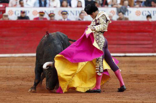 epa11752642 Spanish bullfighter Juan Ortega fights his first bull of the afternoon 'Sevillano', at Plaza de Toros Mexico, in Mexico City, Mexico, 01 December 2024.  EPA/Mario Guzman