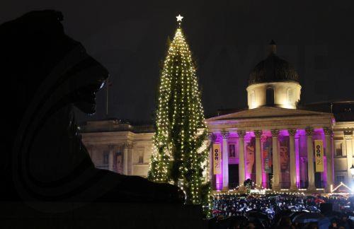 epa11759047 London's Trafalgar Square Christmas tree is lit up at Trafalgar Square in London, Britain, 05 December 2024. Since 1947, Norway has gifted London with a Norwegian spruce tree as a thank-you for Britain's support during WWII. The tree is approximately 60 years old, 20 meters high and weighs about 1,200 kilos.  EPA/ANDY RAIN
