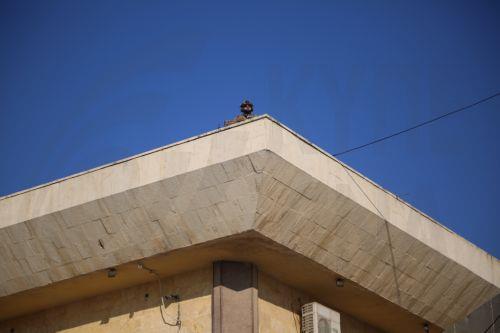 epaselect epa11783698 A security guard keeps watch atop a roof at Aleppo Airport, which has reopened for the first time since the ouster of president Bashar al-Assad, Aleppo, Syria, 18 December 2024. A Syrian Air Airbus took off from Damascus Airport to Aleppo in the countryâ€™s north for the first time since opposition forces seized the capital, toppling...