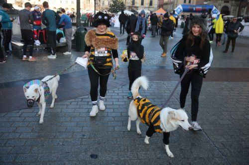epa11799746 People in costumes take to the street to participate in the 20th edition of the New Year's Eve Run in Krakow, Poland, 31 December 2024.  EPA/LUKASZ GAGULSKI POLAND OUT