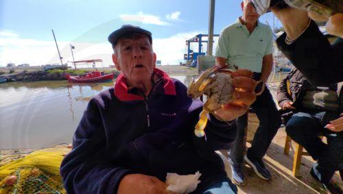 Τα δίκτυα του ψαρά κ. Ιορδάνη από την Νέα Κίο Αργολίδας, έπιασαν  μπλε καβούρια  στον Αργολικό κόλπο, Δευτέρα 27 Ιανουαρίου 2025. Τα μπλε καβούρια έχουν κάνει την εμφάνισή τους στην Ελλάδα τα τελευταία τρία χρόνια. Πρώτη εμφάνισή τους έγινε στην Κέρκυρα το 2019 προερχόμενα από Ιταλία γι αυτό και οι κερκυραίοι ονόμασαν τον μπλε κάβουρα «Ιταλό». Πρόκειται για...