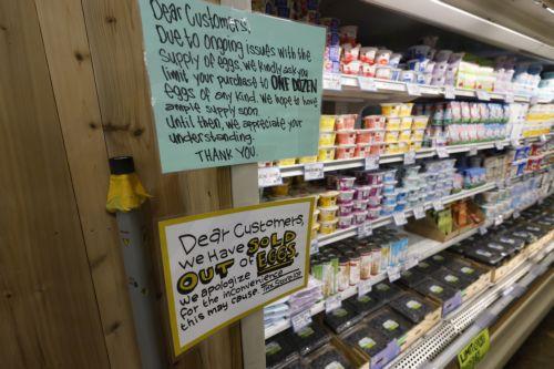 epa11906343 A sign shows that eggs are sold out as other food items fill in the empty space at a grocery store in Alameda, California, USA, 18 February 2025. The bird flu has caused a spike in prices as the cost of eggs nationwide has now hit a record high of $4.95 a dozen and cartons can cost $10 or more for organic or cage-free eggs.  EPA/JOHN G. MABANGLO