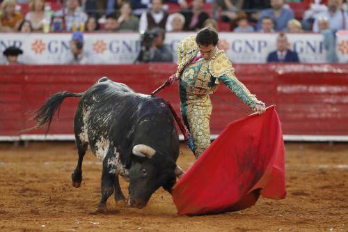 epa11920449 Mexican bullfighter Ernesto Javier 'Calita' fights the bull 'Hechicero' weighing 514 kg, during a bullfight in Mexico City, Mexico, 23 February 2025.  EPA/MARIO GUZMAN