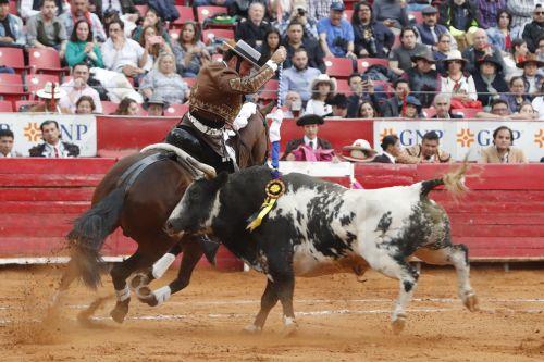 epa11920448 Spanish bullfighter Andy Cartagena fights his bull 'Nublado' weighing 483 kg, during a bullfight in Mexico City, Mexico, 23 February 2025.  EPA/MARIO GUZMAN