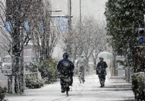 epa11973024 Pedestrians walk under snowfall in Tokyo, Japan, 19 March 2025. The Japan Meteorological Agency has urged caution regarding potential traffic disruptions due to accumulated snow and icy roads through the evening.  EPA/FRANCK ROBICHON