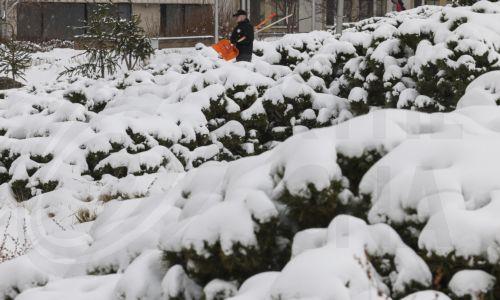 epa12020143 A municipal worker carries a snow shovel after a snowfall in Moscow, Russia, 09 April 2025. Huge snowfall and low temperatures up to minus nine Celsius degrees hit Moscow during the week after a normal warm and snowless winter. The thickness of the snow cover in Moscow is 20 centimeters, and in the Moscow region it reaches 30 cm.  EPA/SERGEI...