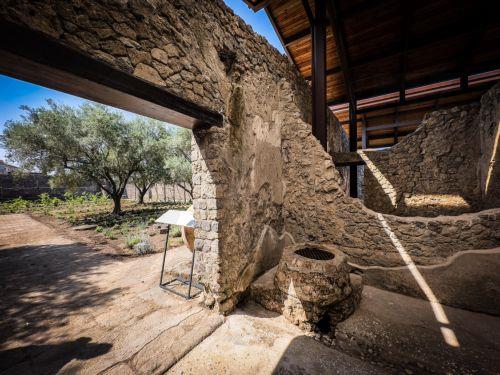 epa12169790 A view of the green area at the so-called House of the Garden of Herculesâ€”also known as the 'Perfumerâ€™s House'â€”in the Pompeii Excavations, Naples, Italy, 11 June 2025. A botanical and historical enhancement project has been completed at the site, believed to have been involved in the production and trade of scented essences during Roman...