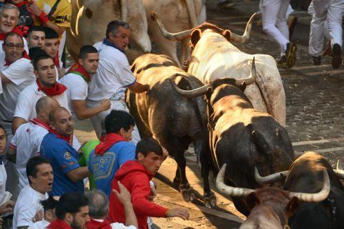 epa12236951 'Mozos' or runners take part in the eighth running of the bulls during the San Fermin Festival in Pamplona, northern Spain, 14 July 2025. The festival is held annually from 06 to 14 July.  EPA/JOSE LUIS LARRION