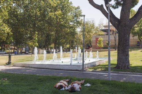 Τουρίστες ξαπλώνουν κάτω από τη σκιά ενός δέντρου, ενώ επικρατούν πολύ υψηλές θερμοκρασίες, Θεσσαλονίκη, Πέμπτη 24 Ιουλίου 2025. Πολύ υψηλή έως και ακραία θερμική επιβάρυνση αναμένεται σήμερα και αύριο σε πολλές περιοχές της Ελλάδας λόγω του ισχυρού κύματος καύσωνα που επικρατεί στη χώρα. Σύμφωνα με τα νεότερα προγνωστικά στοιχεία του meteo.gr/Εθνικού...