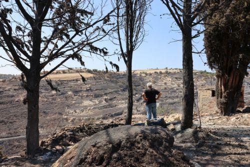 Καμένη γη άφησε πίσω της η καταστροφική πυρκαγιά στην Επαρχία Λεμεσού, Παρασκευή 25 Ιουλίου 2025. ΚΥΠΕ/ΚΑΤΙΑ ΧΡΙΣΤΟΔΟΥΛΟΥ