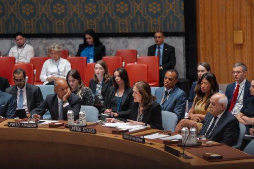 epaselect epa12292479 US Ambassador to the United Nations Dorothy Shea (C) speaks next to Deputy Permanent Representative of the UK to the United Nations James Kariuki (L) and Palestinian Ambassador to the United Nations Riyad Mansour (R) during an emergency Security Council meeting at United Nations (UN) headquarters in New York, New York, USA, 10 August...