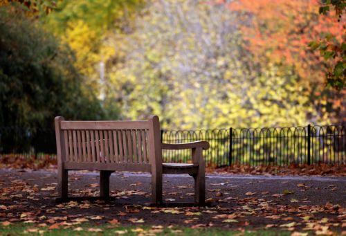 epa12502423 A park bench amidst autumn leaves in St. James's Park, London, Britain, 04 November 2025.  EPA/ANDY RAIN