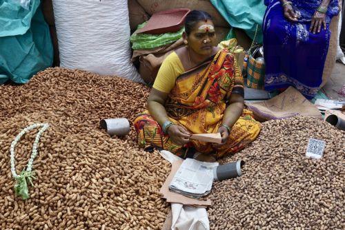 epa12531347 An Indian vendor waits for the customers during the annual Kadalekai Parishe, or groundnut fair, in Basavanagudi area of Bangalore, India, 17 November 2025. Farmers from across Karnataka and neighboring states gather on the last Monday of the Hindu calendar month of Karthika Masa to sell their first harvest of groundnuts, transforming the area...
