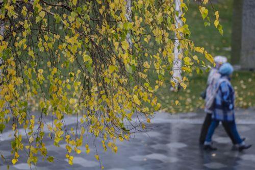 epa12545522 People walk in the park in downtown Moscow, Russia, 24 November 2025. According to weather forecasts, the next few days will be warm in Moscow, and air temperature will rise to 7 Celsius degrees.  EPA/SERGEI ILNITSKY