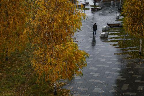epa12545524 A man walks in the park in downtown Moscow, Russia, 24 November 2025. According to weather forecasts, the next few days will be warm in Moscow, and air temperature will rise to 7 Celsius degrees.  EPA/SERGEI ILNITSKY