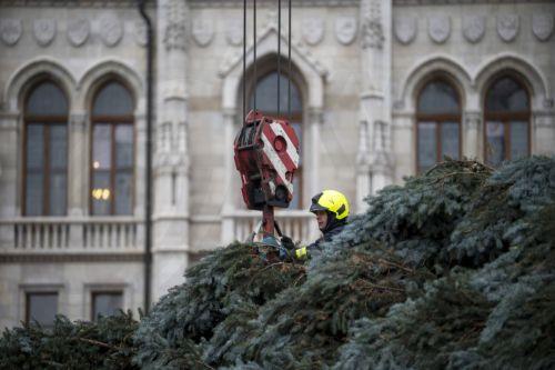 epa12545692 Firemen erect the Christmas tree of the country in Kossuth Square at the parliament building in Budapest, Hungary, 24 November 2025. The 23-meter-tall and 40-year-old blue spruce was picked from a selection of 31 pines and transported from the northeastern county of Szabolcs-Szatmar-Bereg.  EPA/Zoltan Balogh HUNGARY OUT