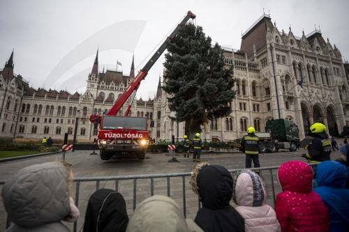 epa12545697 Firemen erect the Christmas tree of the country in Kossuth Square at the parliament building in Budapest, Hungary, 24 November 2025. The 23-meter-tall and 40-year-old blue spruce was picked from a selection of 31 pines and transported from the northeastern county of Szabolcs-Szatmar-Bereg.  EPA/Zoltan Balogh HUNGARY OUT