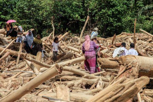 epa12578274 People walk among logs swept away by a flash flood at a flood affected area in Aceh Tamiang, Aceh province, Indonesia, 08 December 2025. According to the National Disaster Management Agency, floods and landslides triggered by Tropical Cyclone Senyar have killed 961 people across the provinces of Aceh, North Sumatra, and West Sumatra, while 293...