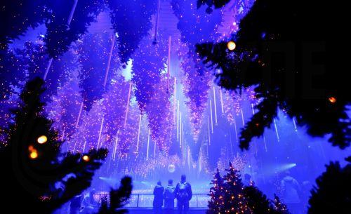 epa12585122 People visit the art installation 'Forest - Winterlights' by light and media artist Christopher Bauder at his Dark Matter art gallery in Berlin, Germany, 11 December 2025. Berlin-based light and media artist Bauder has created a poetic forest landscape covering 1,000 square metres, featuring over 600 trees, most of which float from the ceiling,...