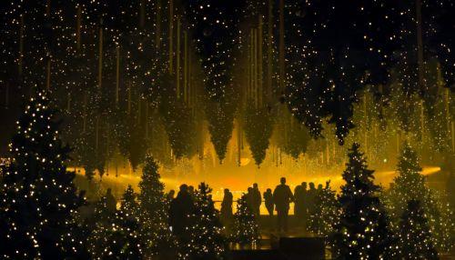 epa12585125 People visit the art installation 'Forest - Winterlights' by light and media artist Christopher Bauder at his Dark Matter art gallery in Berlin, Germany, 11 December 2025. Berlin-based light and media artist Bauder has created a poetic forest landscape covering 1,000 square metres, featuring over 600 trees, most of which float from the ceiling,...