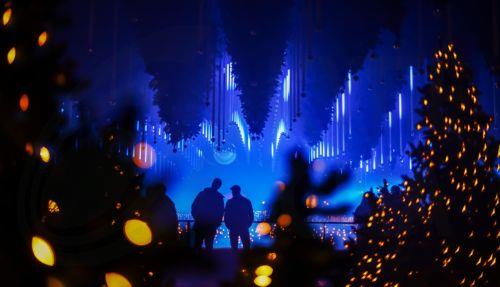 epa12585126 People visit the art installation 'Forest - Winterlights' by light and media artist Christopher Bauder at his Dark Matter art gallery in Berlin, Germany, 11 December 2025. Berlin-based light and media artist Bauder has created a poetic forest landscape covering 1,000 square metres, featuring over 600 trees, most of which float from the ceiling,...