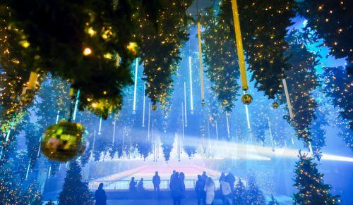 epa12585128 People visit the art installation 'Forest - Winterlights' by light and media artist Christopher Bauder at his Dark Matter art gallery in Berlin, Germany, 11 December 2025. Berlin-based light and media artist Bauder has created a poetic forest landscape covering 1,000 square metres, featuring over 600 trees, most of which float from the ceiling,...