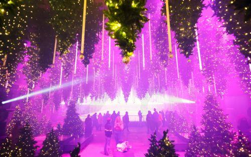 epa12585129 People visit the art installation 'Forest - Winterlights' by light and media artist Christopher Bauder at his Dark Matter art gallery in Berlin, Germany, 11 December 2025. Berlin-based light and media artist Bauder has created a poetic forest landscape covering 1,000 square metres, featuring over 600 trees, most of which float from the ceiling,...