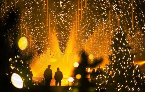 epa12585130 People visit the art installation 'Forest - Winterlights' by light and media artist Christopher Bauder at his Dark Matter art gallery in Berlin, Germany, 11 December 2025. Berlin-based light and media artist Bauder has created a poetic forest landscape covering 1,000 square metres, featuring over 600 trees, most of which float from the ceiling,...