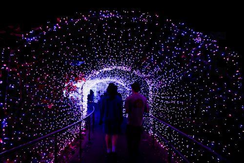 epa12612690 Visitors walk through the Tunnel of Light at the Atlanta Botanical Garden's 'Garden Lights, Holiday Nights' display in Atlanta, Georgia, USA, 25 December 2025 (Issued 26 December 2025). The popular holiday light display, in its 15th year, runs through 11 January 2026.  EPA/ERIK S. LESSER