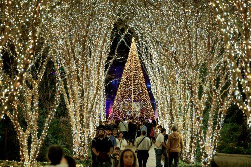 epa12612702 People visit the Twinkling Terrace area at the Atlanta Botanical Garden's 'Garden Lights, Holiday Nights' display in Atlanta, Georgia, USA, 25 December 2025 (Issued 26 December 2025). The popular holiday light display, in its 15th year, runs through 11 January 2026.  EPA/ERIK S. LESSER