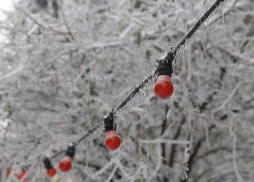 epa12639142 Ice-covered branches and street lighting are seen after the night's ice-rain and hard frost that followed it in Kyiv, Ukraine, 09 January 2026, amid the ongoing Russian invasion. The Ukrainian capital faces hard electricity and heating cut-offs due to the massive combined drone and missile attacks as freezing temperatures of up to minus 25...