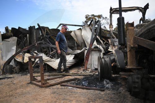 epa12639601 Harcourt CFA first lieutenant Tyrone Rice inspects damage to his property following a bushfire in Harcourt, Victoria, Australia, 10 January 2026.  EPA/JAMES ROSS EDITORIAL USE ONLY AUSTRALIA AND NEW ZEALAND OUT