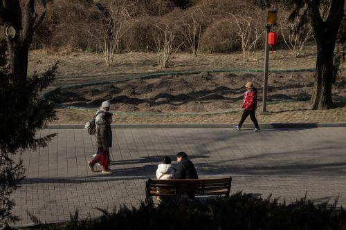 epa12681821 People walk at a park in Beijing, China, 26 January 2026.  EPA/JESSICA LEE