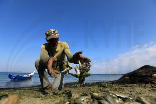epa12699548 Fishermen collect fish from a net as they use a traditional fishing method in Kampung Jawa, Banda Aceh, Indonesia, 02 January 2026. Indonesia is promoting blue economy programs to protect the ocean.  EPA/HOTLI SIMANJUNTAK