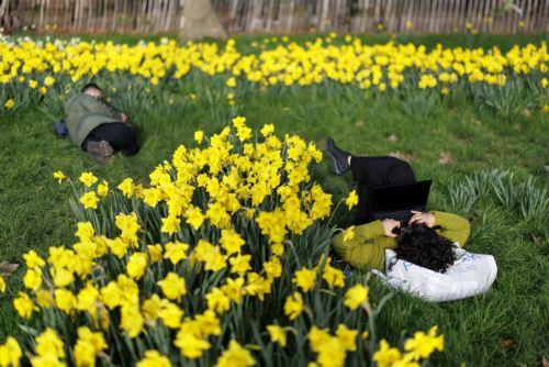 epa12797478 People rest in the warm sunshine by daffodils on a sunny day in Green Park in London, Britain, 05 March 2026. Temperatures rose to 18 degrees Celsius in parts of the UK on 05 March as early spring weather brings warm and dry weather.  EPA/TOLGA AKMEN