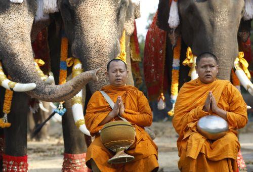 epa12816023 Thai Buddhist monks pray to bless elephants and their handlers during a rite marking National Elephant Day at the Ayutthaya Elephant Palace and Royal Kraal in Ayutthaya, Thailand, 13 March 2026. National Elephant Day has been observed annually on 13 March since 1998 to promote the protection and conservation of Thai elephants.  EPA/RUNGROJ...