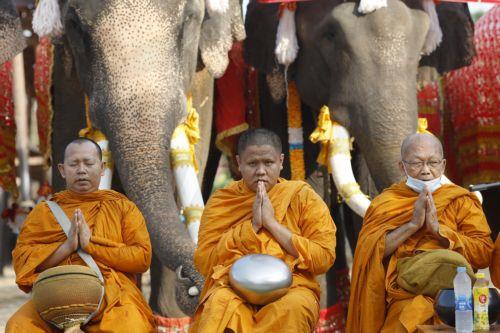 epa12816024 Thai Buddhist monks pray to bless elephants and their handlers during a rite marking National Elephant Day at the Ayutthaya Elephant Palace and Royal Kraal in Ayutthaya, Thailand, 13 March 2026. National Elephant Day has been observed annually on 13 March since 1998 to promote the protection and conservation of Thai elephants.  EPA/RUNGROJ...