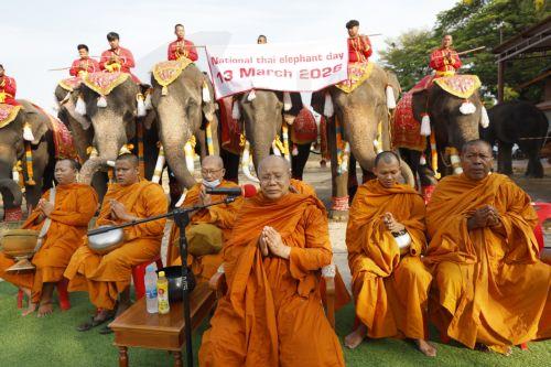 epa12816025 Thai Buddhist monks pray to bless elephants and their handlers during a rite marking National Elephant Day at the Ayutthaya Elephant Palace and Royal Kraal in Ayutthaya, Thailand, 13 March 2026. National Elephant Day has been observed annually on 13 March since 1998 to promote the protection and conservation of Thai elephants.  EPA/RUNGROJ...