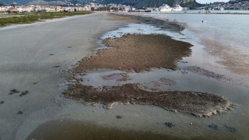 Το φαινόμενο της άμπωτης εμφανίστηκε στο Ναύπλιο με τη θάλασσα να υποχωρεί πάνω από 200  μέτρα εδώ και αρκετές ημέρες, Δευτέρα 16 Μαρτίου 2026.  ΑΠΕ-ΜΠΕ/ΑΠΕ-ΜΠΕ/ΜΠΟΥΓΙΩΤΗΣ ΕΥΑΓΓΕΛΟΣ