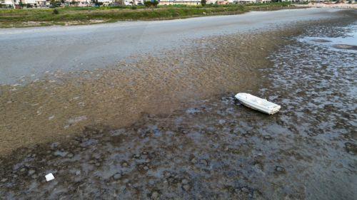 Το φαινόμενο της άμπωτης εμφανίστηκε στο Ναύπλιο με τη θάλασσα να υποχωρεί πάνω από 200  μέτρα εδώ και αρκετές ημέρες, Δευτέρα 16 Μαρτίου 2026.  ΑΠΕ-ΜΠΕ/ΑΠΕ-ΜΠΕ/ΜΠΟΥΓΙΩΤΗΣ ΕΥΑΓΓΕΛΟΣ