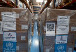 Dışişleri Bakanlığı: Kıbrıs, DSÖ’nün ins