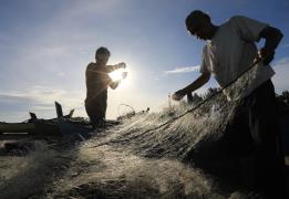 Fisheries play a central role in the Eur