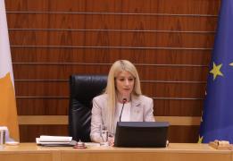 Κυπριακό, διακοινοβουλευτική συνεργασία,