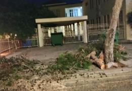 Δ. Πάφου: Καθαρίστηκε η οδός 1ης Απριλίο