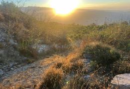 Υπό πλήρη έλεγχο πυρκαγιά στους Τρούλλου