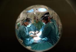Cyprus to host European Donation Day