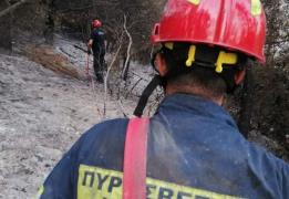 Σε κλήσεις για οκτώ πυρκαγιές ανταποκρίθ